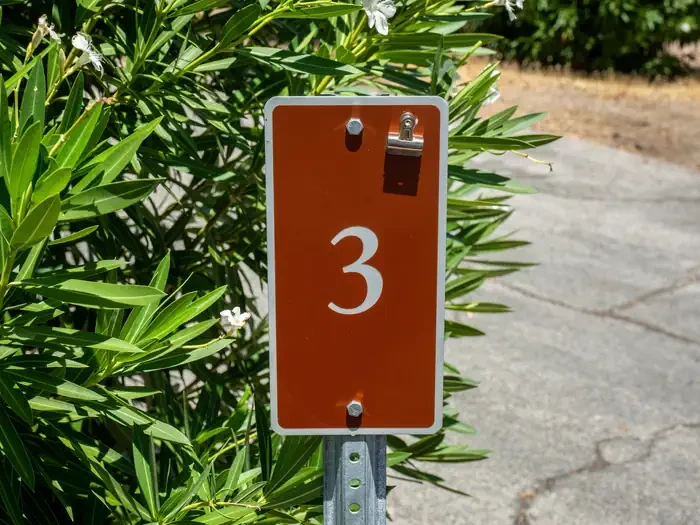 Site 3