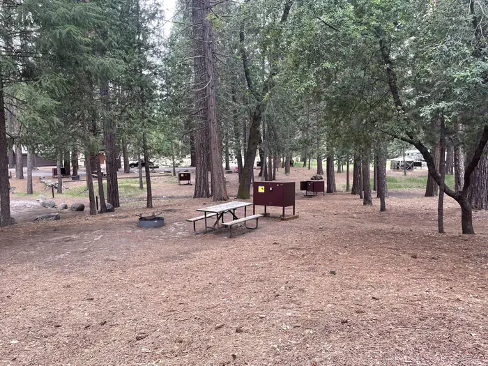 Wawona Campground