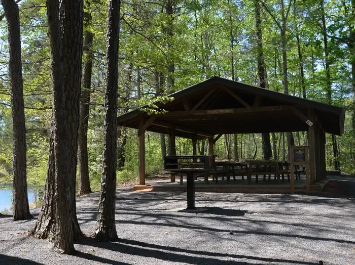 Shelter
