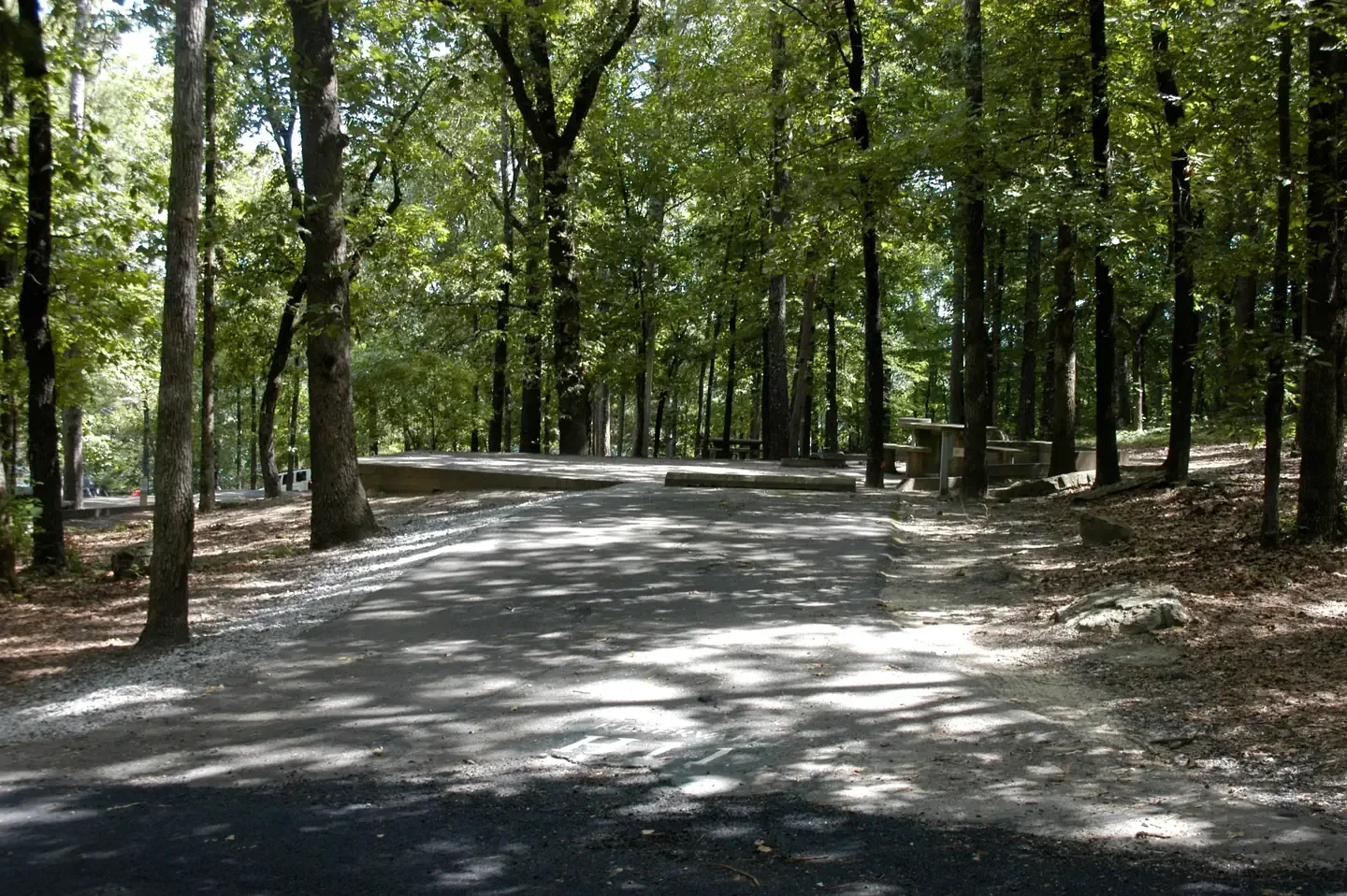 H11