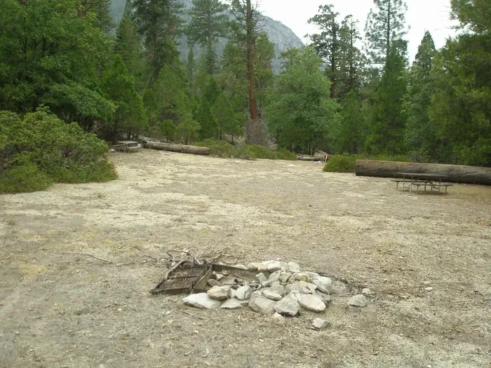 Site D