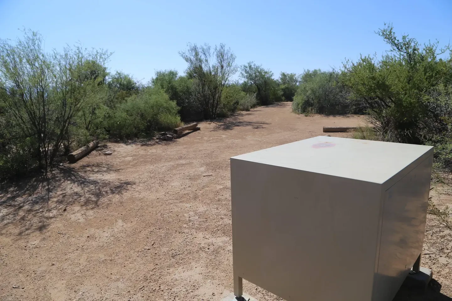 Grapevine Hills 4