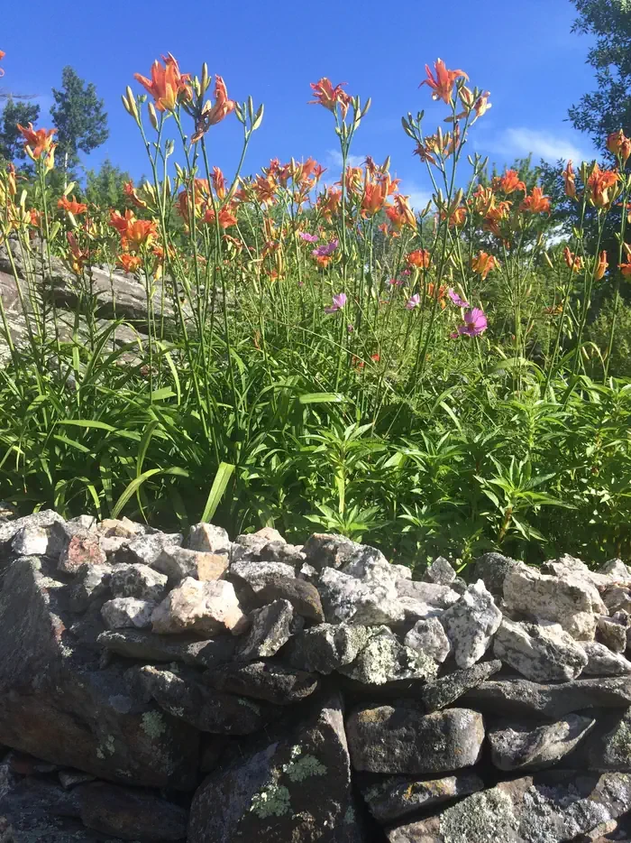 Ellsworth Rock Gardens Tour and Eagle Watch