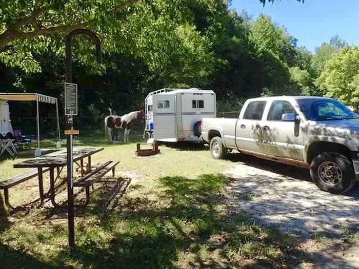 30 - Horse Site