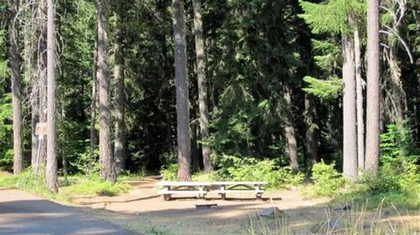 Atkisson Group camp