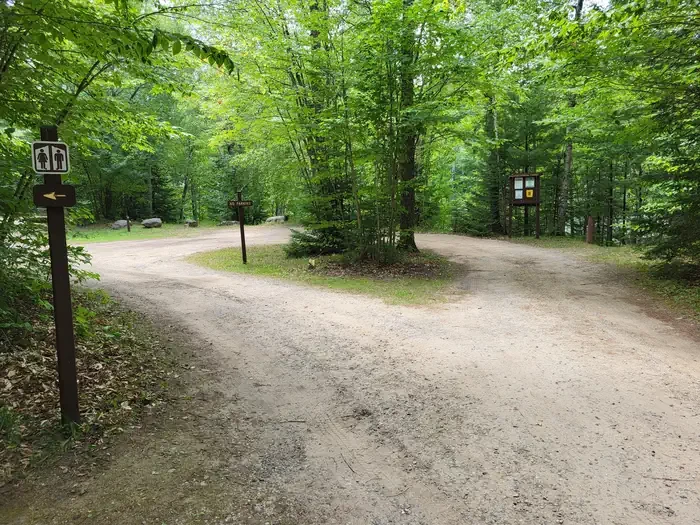 Council Lake Campsites