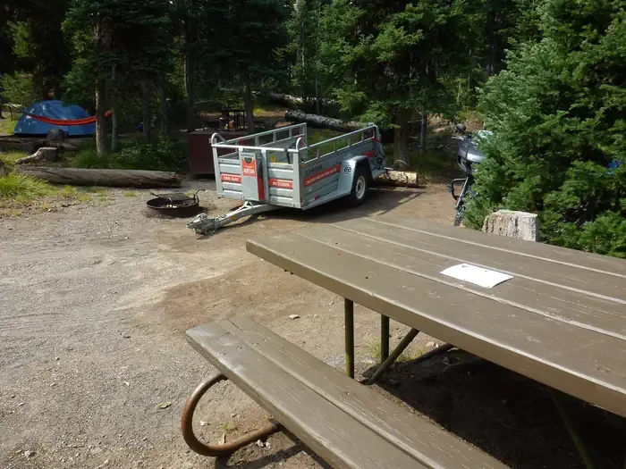 Lewis Lake site #41