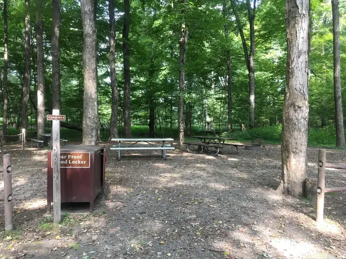 Site #4