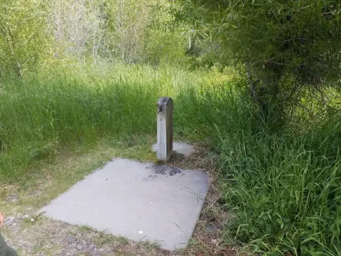 Wapiti Campground