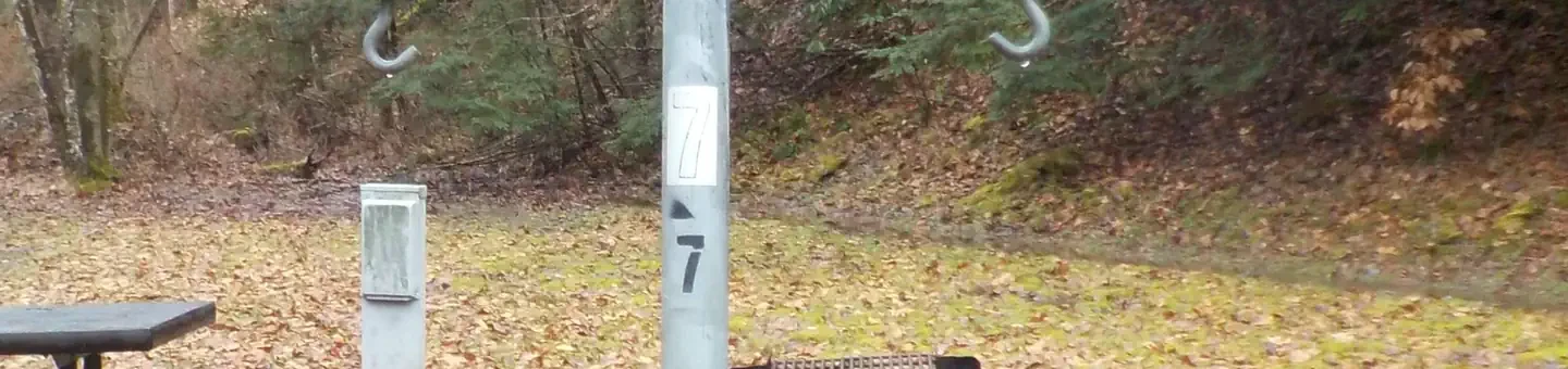 007