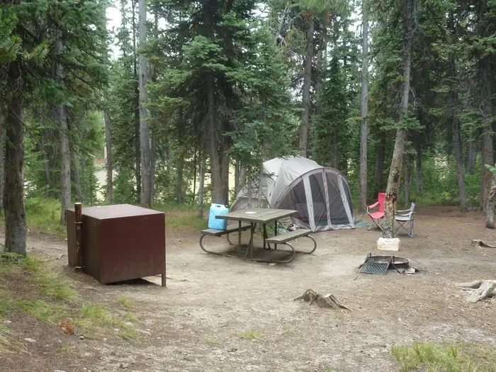 Lewis Lake site #14