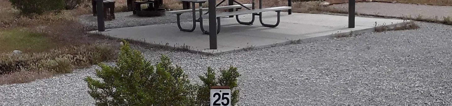 25