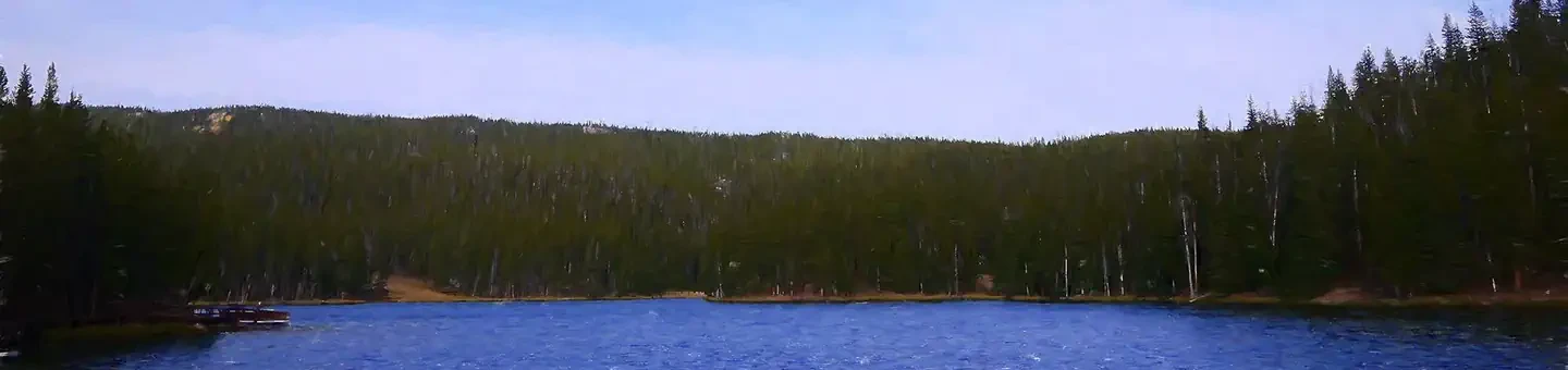 007