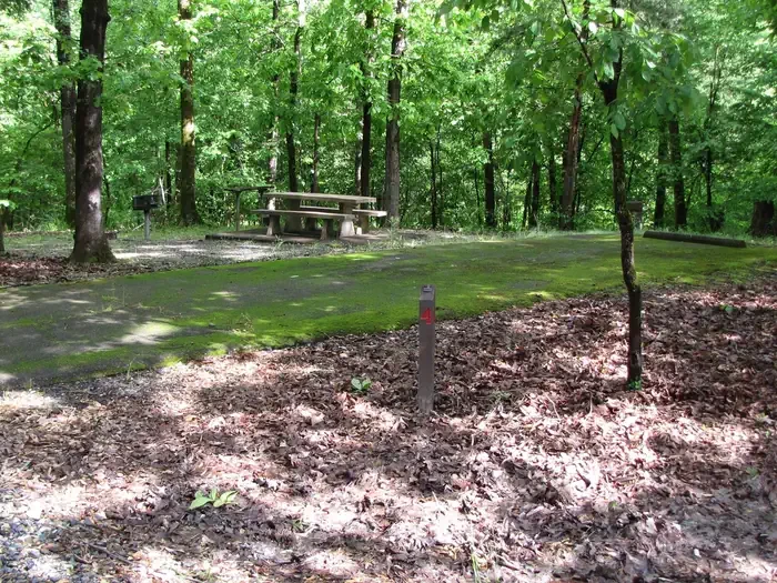 Site 4