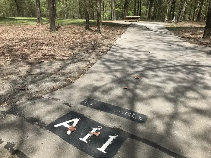 A11