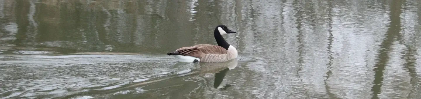 79