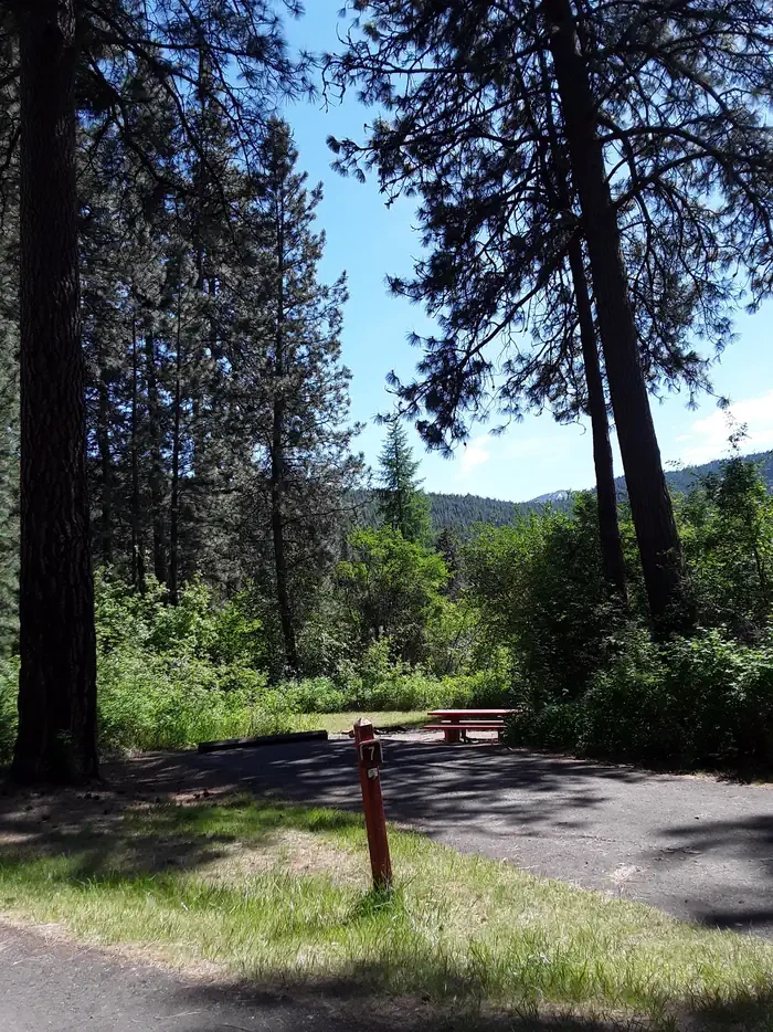 Sloway Campground (MT)