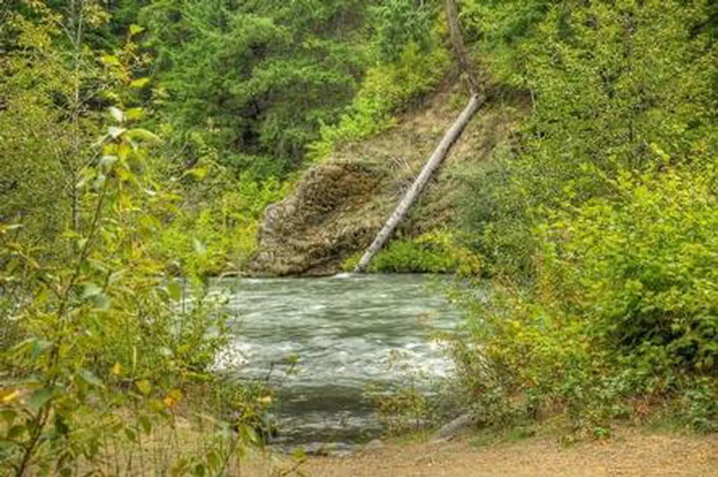Willows Campground