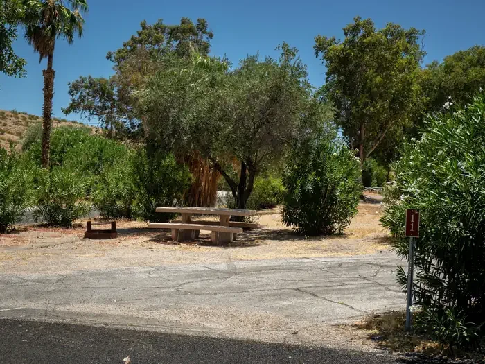 Site 12