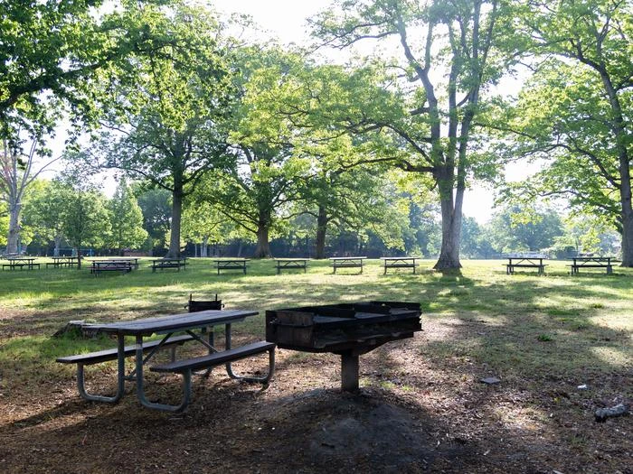 Area B3