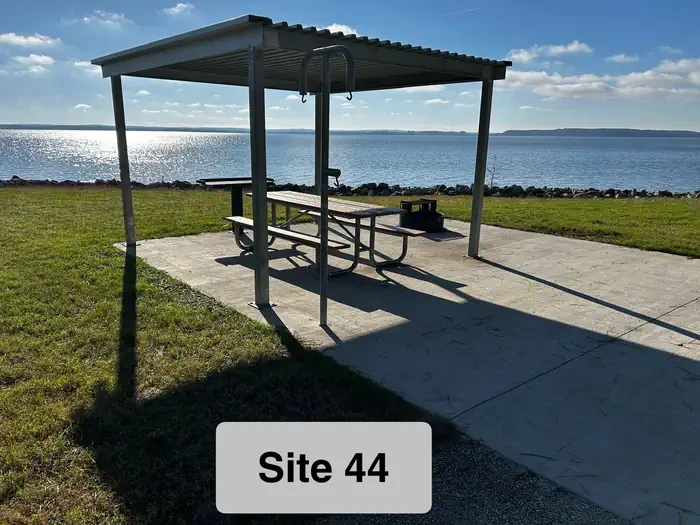 44