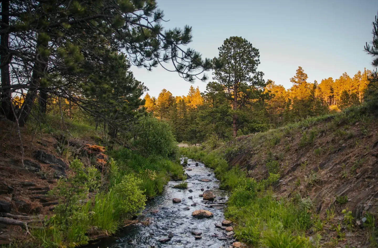 Roubaix Lake Campground