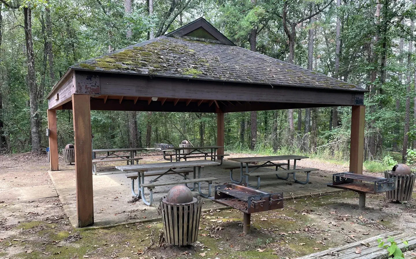 Short Leaf Picnic Shelter