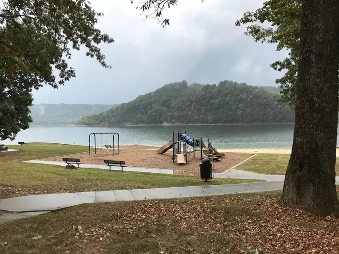 L1-Large Picnic Shelter