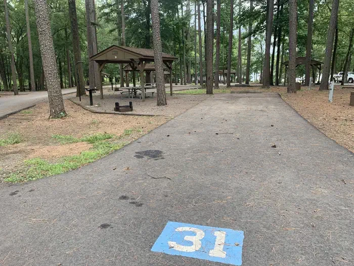 31