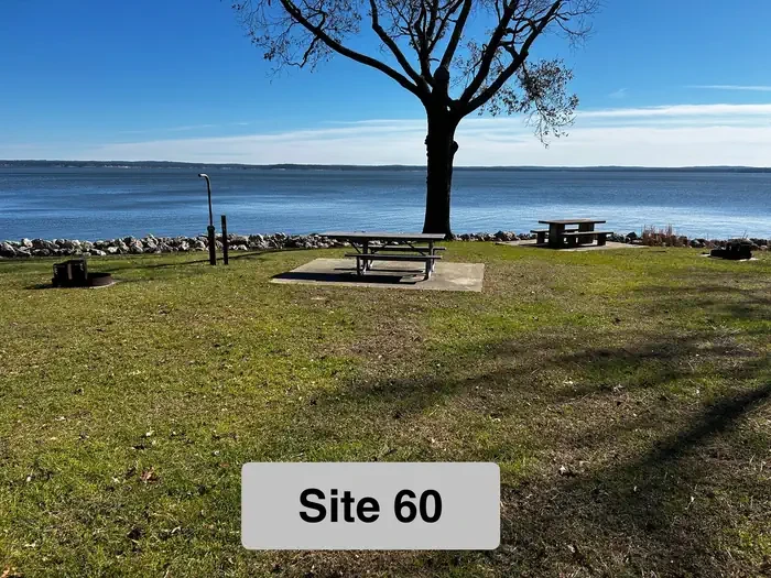 60