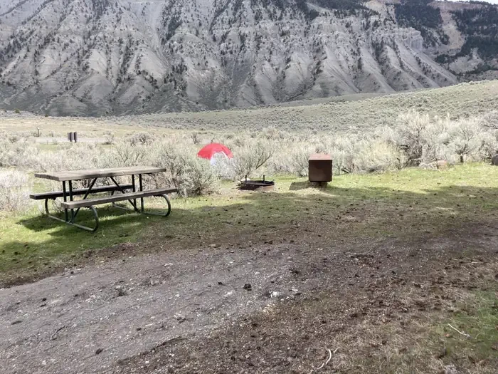Mammoth site #29