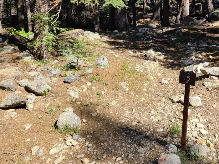 Site: 15