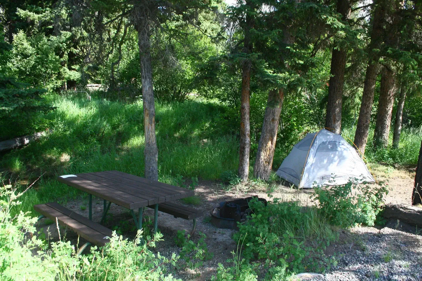 Slough Creek site #10