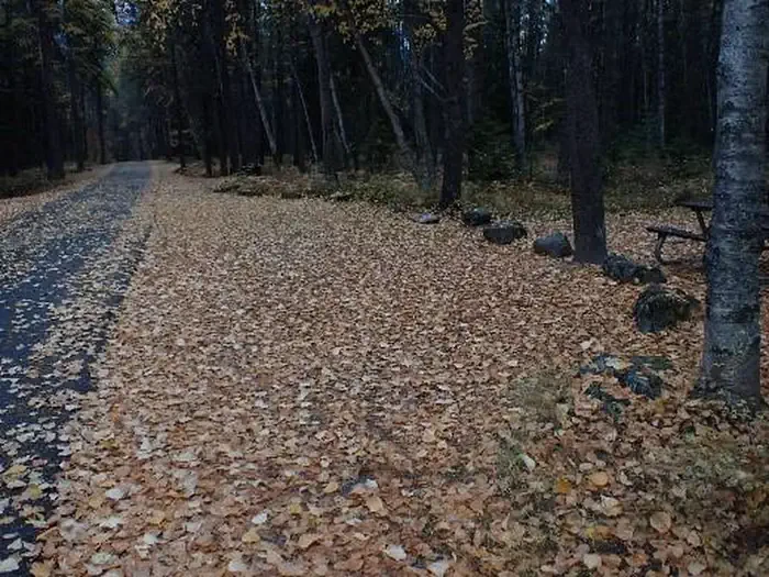 A46