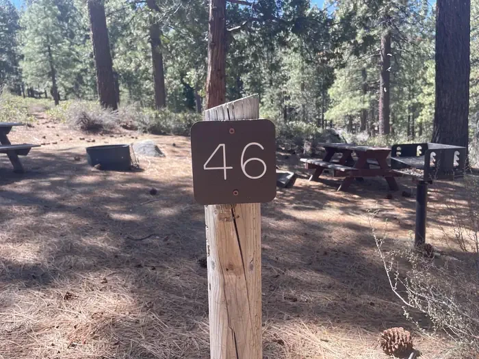 46