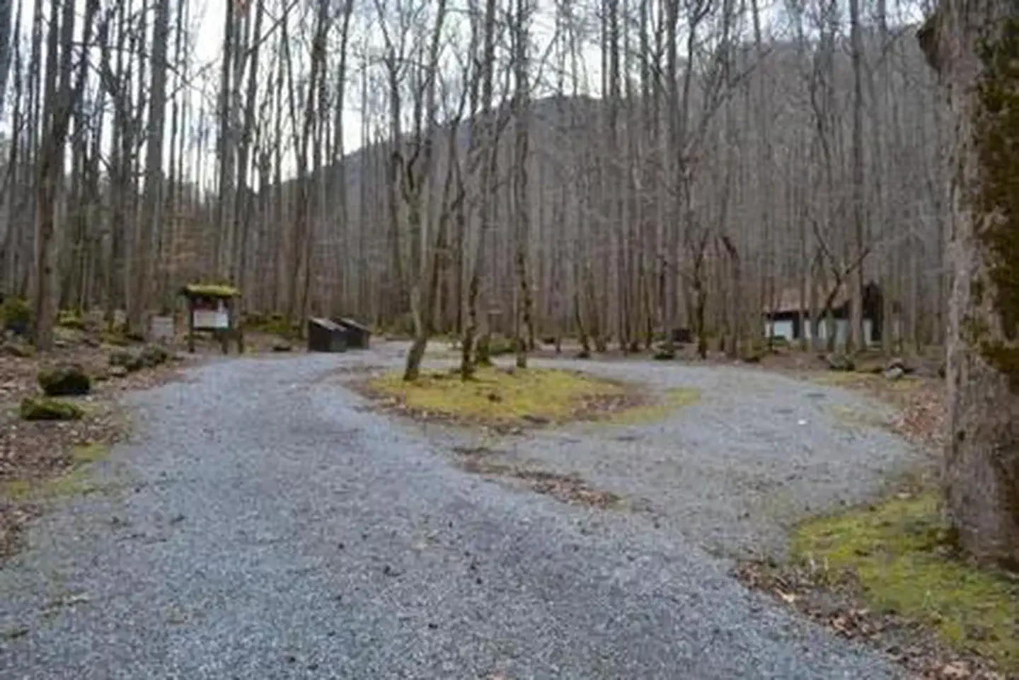 Big Creek Campground (great Smoky Mountains National Park)