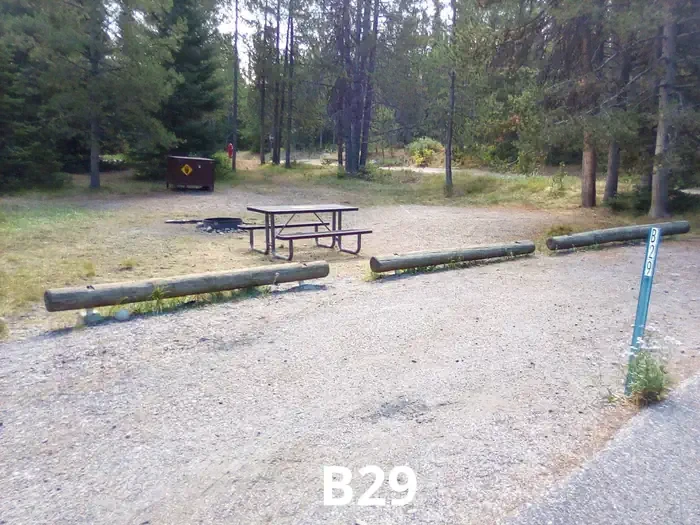 29
