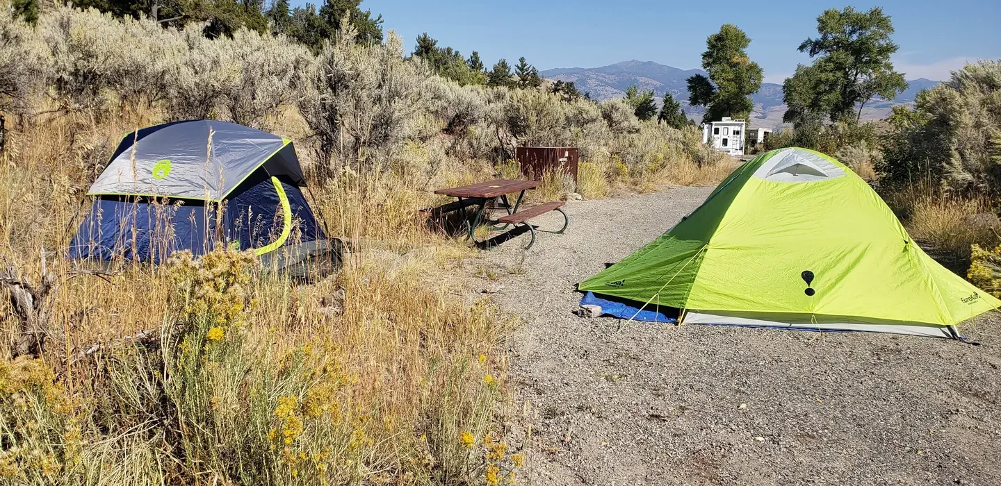Mammoth site #2