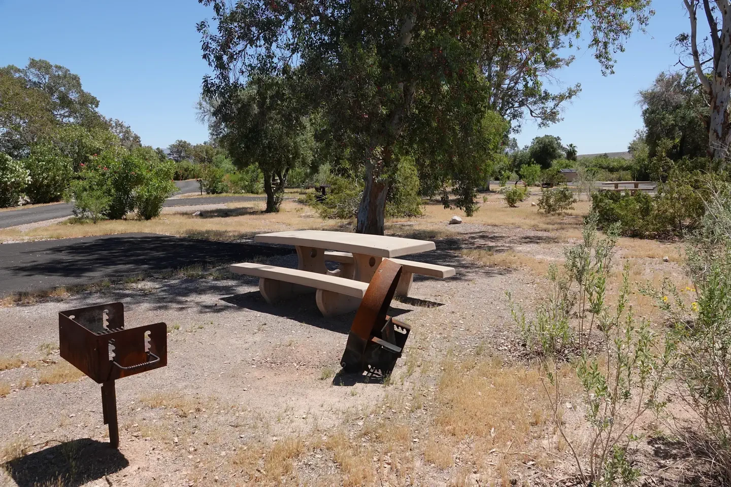 Site 49