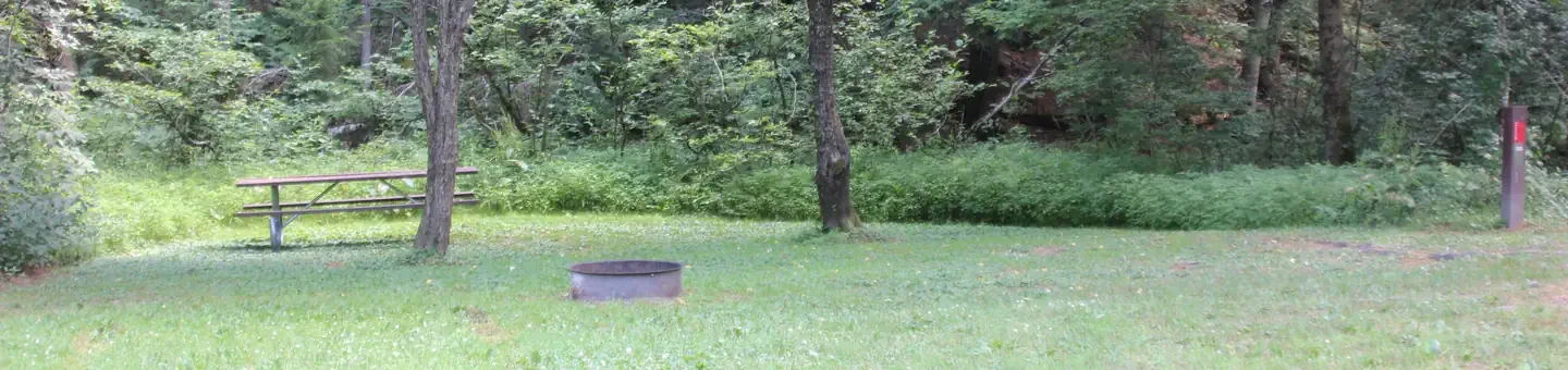 S33