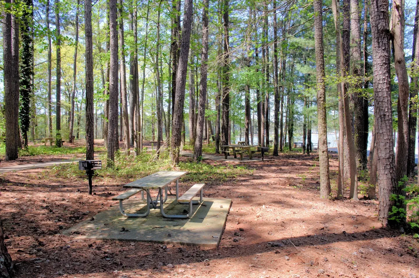 Galt'S Ferry Day Use Area (ga)
