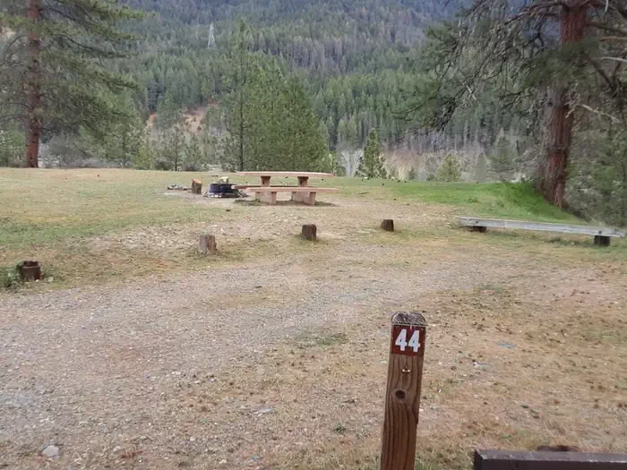 44