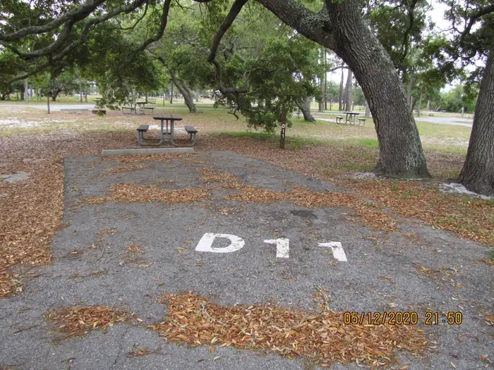 D011