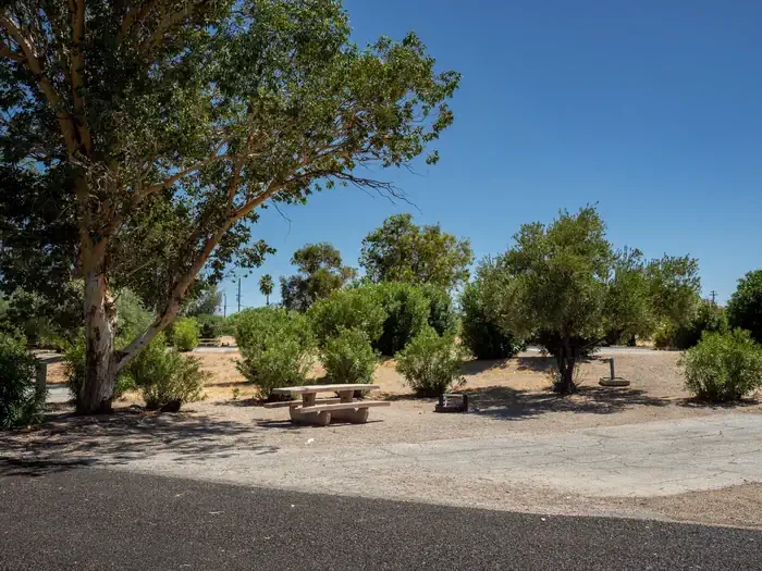 Site 49