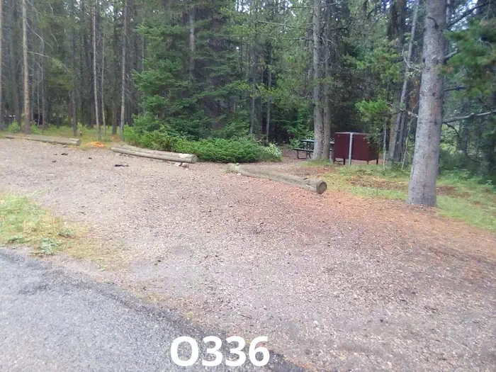 336