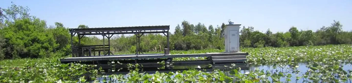 Maul Hammock