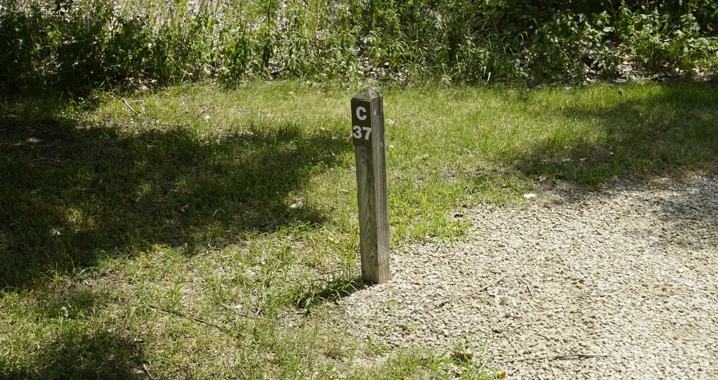 C37