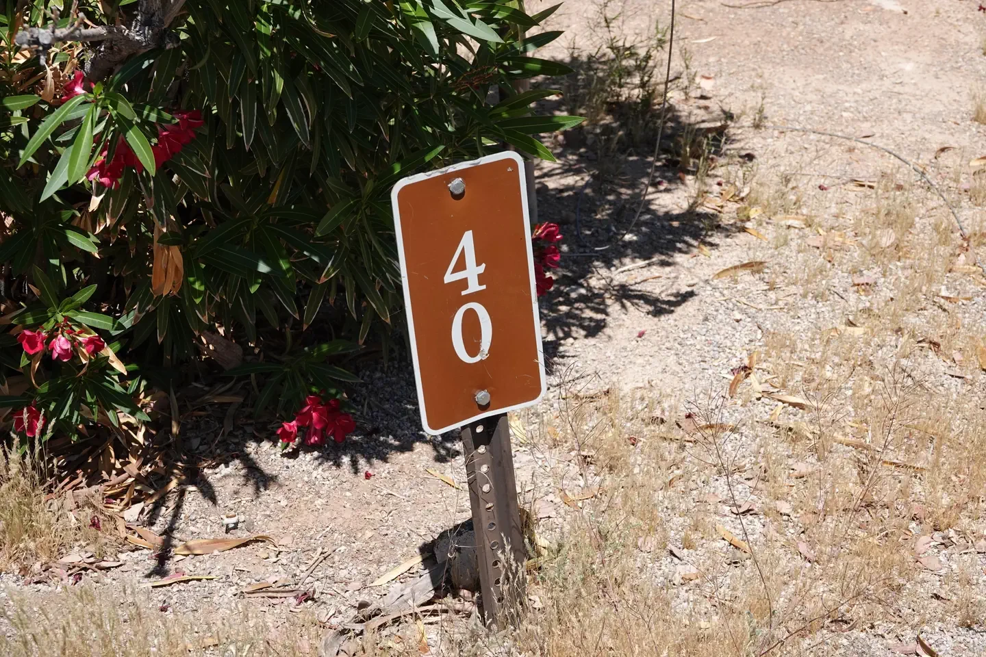 Site 40