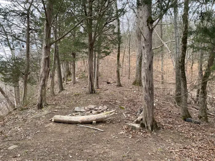 Davies Island North - Site 8