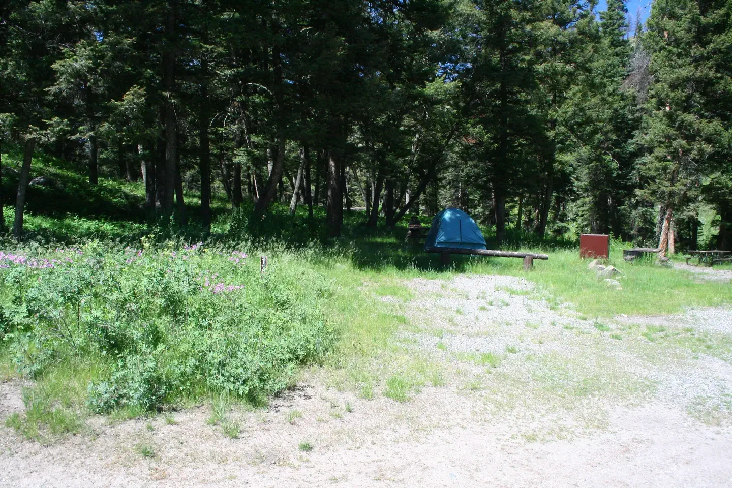 Slough Creek site #13